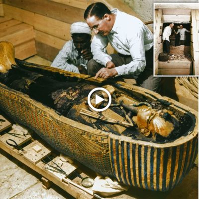 Egypt’s oldest mummy found ‘covered in layers of gold’ following year-long excavation