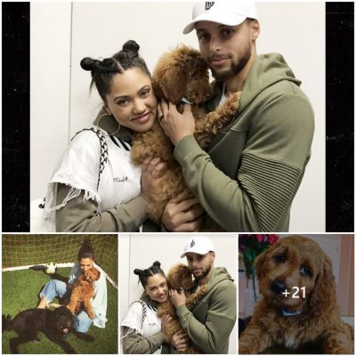 Steph and Ayesha Curry’s Newest Member: Meet Their $4k Well-Behaved Furry Friend
