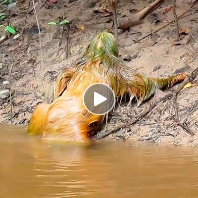 Unusual entities in the river emerged, exhibiting an incredibly terrifying visage resembling a hybrid of “human and alien”