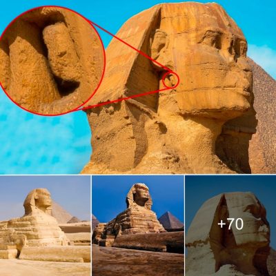 Egypt’s SPHINX could be hiding ’SECRET CITY’ built by lost civilisation – Historians claim