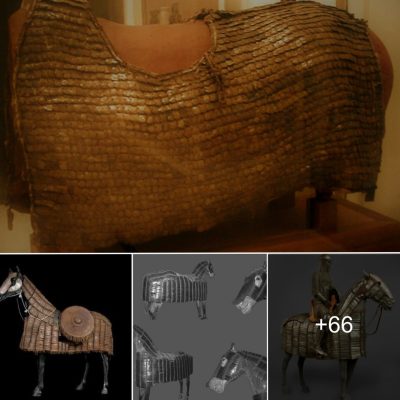 Horse Armor in Europe from Antiquity to the Early Modern Era