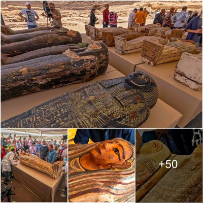 Ancient Egyptian burial shaft with 13 completely sealed wooden coffins dating back 2,500 years is unearthed in the desert necropolis of Saqqara