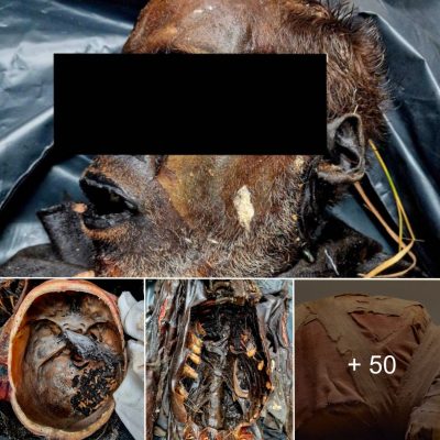 Scientists Are Baffled After Man Is Discovered Naturally Mummified Just 16 Days After He Was Last Seen Alive