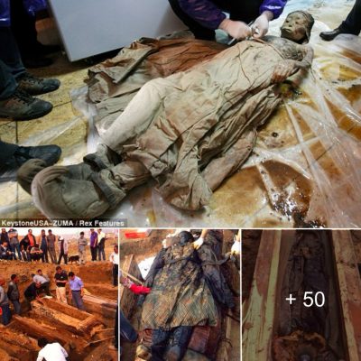 The Chinese mummy that aged 300 years in a day: Experts baffled by ‘perfectly preserved’ body that turned BLACK just hours after its coffin was opened