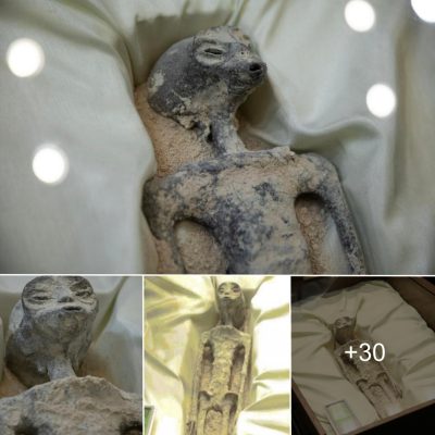 1,000-Year-Old Fossils of “Alien Beings” Presented at the Mexican Congress