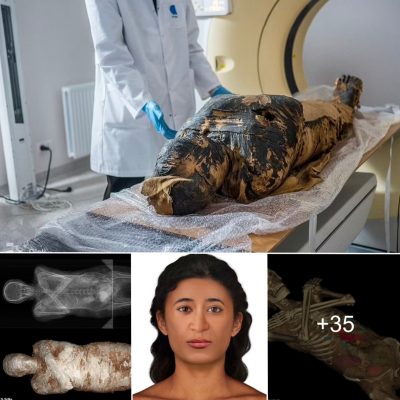 Meet the world’s first PREGNANT ancient Egyptian mummy! Scientists reconstruct the face of a 2,000-year-old corpse who died while 28 weeks into her pregnancy