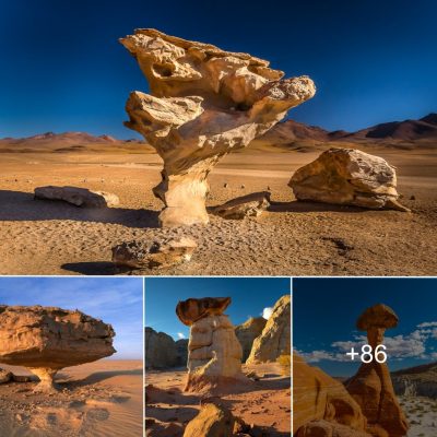 WHAT IS MUSHROOM ROCK | Most Wonderful and Unique Mushroom Rocks around the World