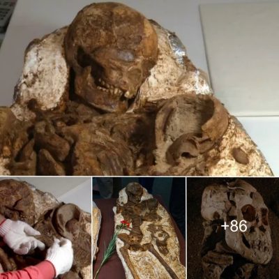 Mother’s enduring love for baby revealed as 5000-year-old fossil found