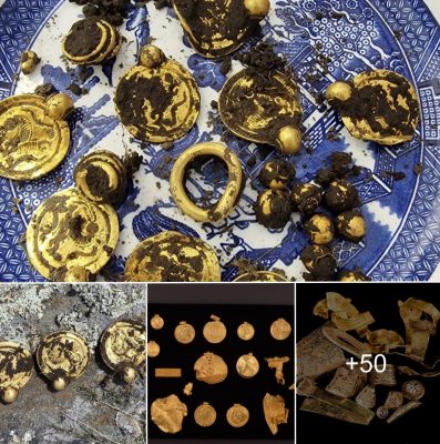 Metal detectorist discovers gold treasure hoard