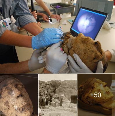 Mystery over identity of 4,000-year-old Egyptian mummy finally solved by FBI