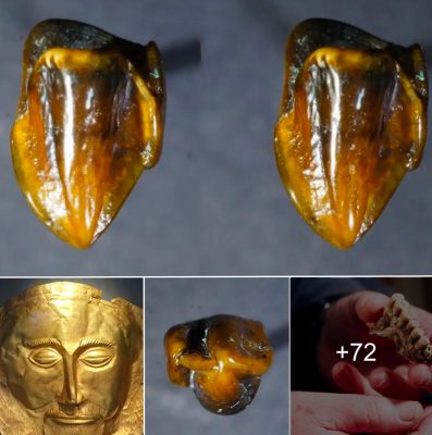 Prehistoric teeth fossils dating back 9.7 million years ‘could rewrite human history’
