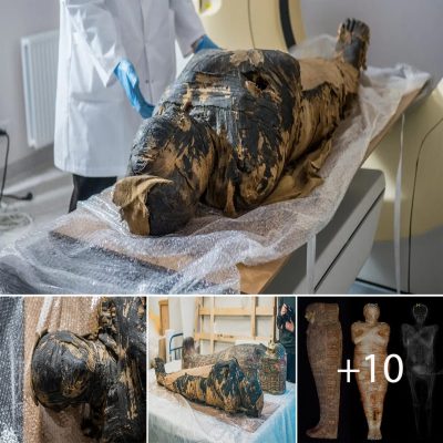 First pregnant Egyptian mummy surprises researchers