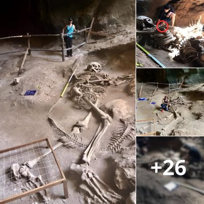 The enigmatic giant skeleton engaged in combat with a serpent, found in a cave in Thailand, has been decoded