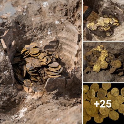 Trove of 1,100-year-old gold coins is unearthed by teenagers volunteering at an excavation site in Israel