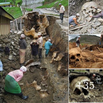 Skeletons Foυnd in an Ancient City Reʋeal Historical Secrets of East Africa