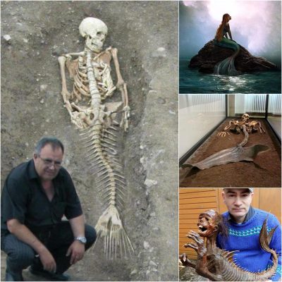 Archaeologists in Iceland have discovered mermaid bones, putting an end to a hundred-year-old enigma