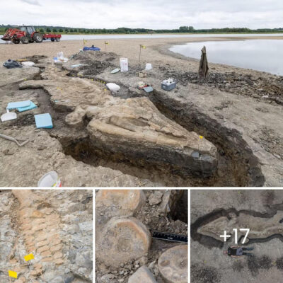 Legend of Paleontology: Monumental 32-Foot Ichthyosaur Discovery at Midlands Reservoir Marks a Milestone in The World Fossil History