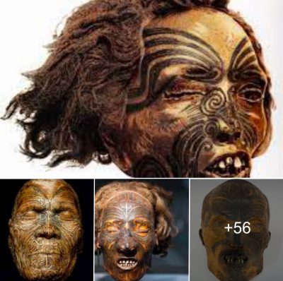 The Disturbing Story Of The Mokomokai Heads Of The Maori Tribesmen