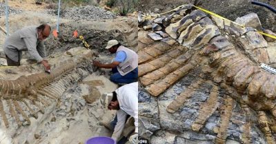 Archaeologists were stunned by the discovery of 72 million years of dinosaur history in the Mexican desert