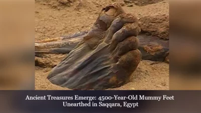 Ancient Treasures Emerge: 4500-Year-Old Mummy Feet Unearthed in Saqqara, Egypt