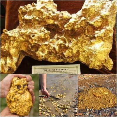 “The amazement of stumbling upon a 70 kg gold nugget”