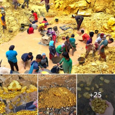 Finding an ancient gold mine with huge reserves caused villagers to compete to exploit it.