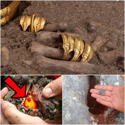 Baffling Discoveries Unearthed by Treasure Hunters
