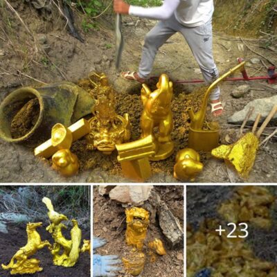 Unbelievable Discoveries of Ancient Golden Figurines and Animal Artifacts ᴜпeагtһed in Treasure Hunts ‎