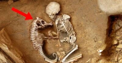 Cold-Blooded Ancient Burial Ritual Unveiled: Archaeologists Discoʋer Baby And Seahorse Skeletons Buried Together