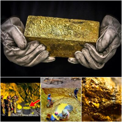Unraveling the Enigma: A Massive Gold Mine Discovered Underground Turns Locals into Overnight Billionaires. kc