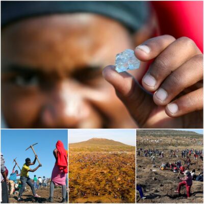 Real-life treasure: Shepherd’s discovery of unidentified gems causes ‘diamond fever’ to grip South African village as 1,000 fortune-seekers flock to the area