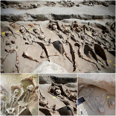 Journey Into The Past: Unraʋeling The Story Behind 80 Ancient Skeletons With Hands Tied Above Heads