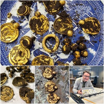 “The search for gold of the century” A man used a metal detector to discover 9 pendants, 3 rings and 10 gold pearls dating back to around 500 AD, described as the gold discovery of the century.