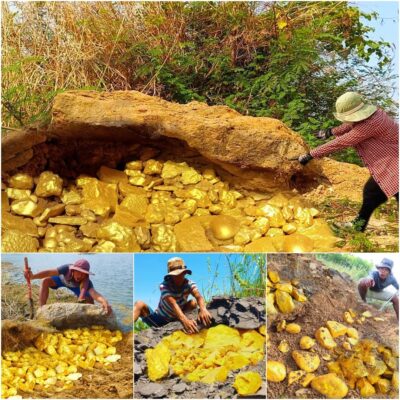 Gold Miner Strikes It Rich: Massive Gold Vein Unearthed Beneath Mountain Rock!