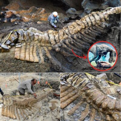 72-Million-year-old Dinosaur Tail Found In Mexican Desert Baffles Archaeologists