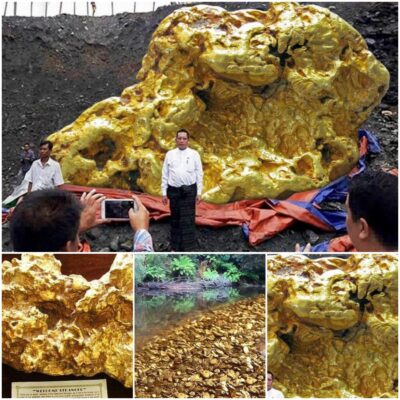 Unveiling the Untold Tale: “Irrefutable Fact” Delves into the World’s Biggest Gold Nugget’s Investigation