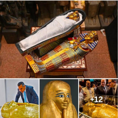 Ancient solid gold coffin dating back 2,100 years from the 1st century BC was shipped from the US and returned to Egypt