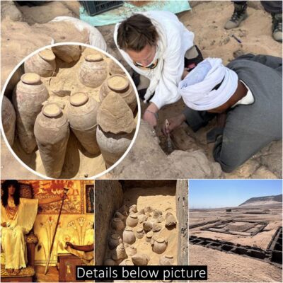 Inside the tomb of ‘Egypt’s first female pharaoh’, archaeologists discovered ancient wine storage jars that date back 5,000 years