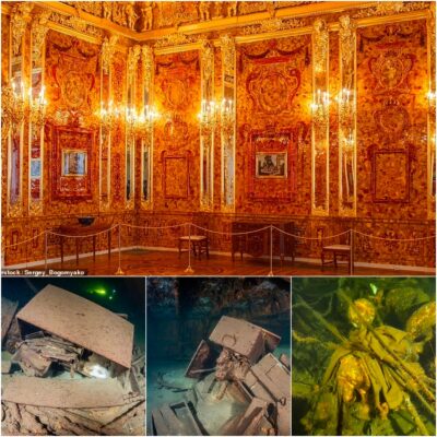 Map to forgotten treasure nearly 1,00 years ago: Treasure hunters have found the tunnel to the legendary £250 million Amber Room after discovering a secret tunnel network