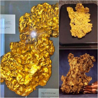 A massive gold nugget has been found buried at a secret location in Australia – and it could be worth thousands of dollars.
