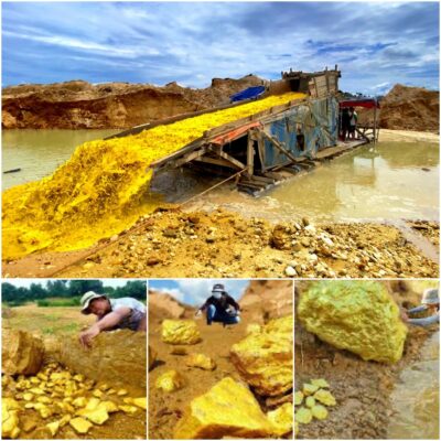 Exploring the Depths of the Top 10 Gold Mines Around the World