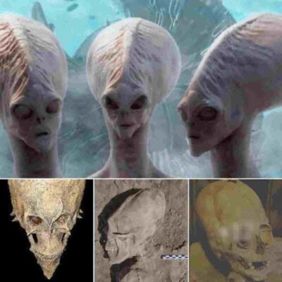 Unbelievable Discovery: Mysterious Alien Skull Baffles Experts, Shaking the Foundations of Human History!