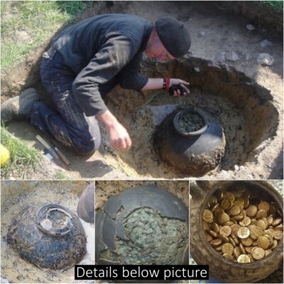 A fortunate 63-year-old guy found a golden trove of antique Roman coins from the third century AD in a field that had been buried below for 1800 years