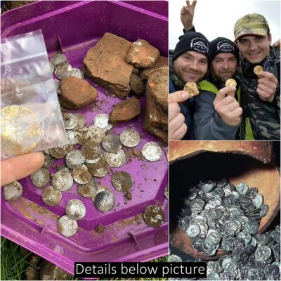 Coveted treasure trove of medieval gold and silver coins found by amateur metal detectorists
