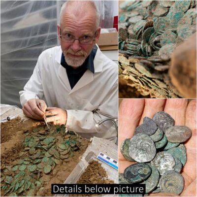 Discovering 69,347 Roman and Celtic coins buried 3ft deep under a hedge in Jersey they were hidden in the fields around 50 BC