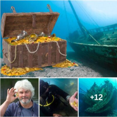 Discovers a nugget of gold the size of a chicken egg, revealing the location of a treasure lost after a shipwreck 200 years ago