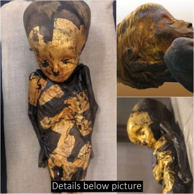 Gold Covered Baby Mᴜmmу Discovered In Akhmim Egypt Dating Back To Roman Times