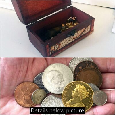 His son’s toy chest suddenly contained Queen Anne Vigo’s lost treasure 300 years ago