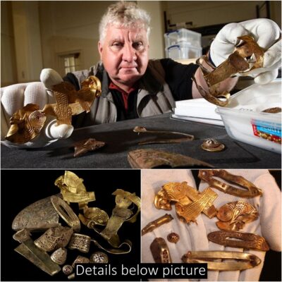How jobless treasure hunter unearthed greatest ever haul of Saxon artefacts with £2.50 metal detector
