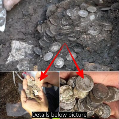 In a stroke of luck, a man stumbled upon a treasure trove of Roman coins dating back 2,000 years, valued at £200,000, hidden in a farmer’s field